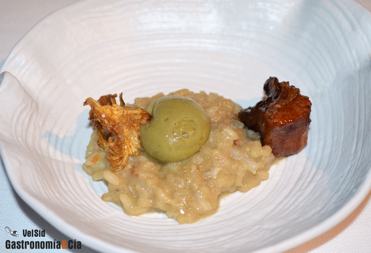 Jornadas de la Galera 2017