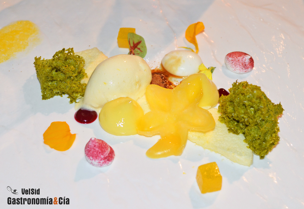 Jornadas de la Galera 2017