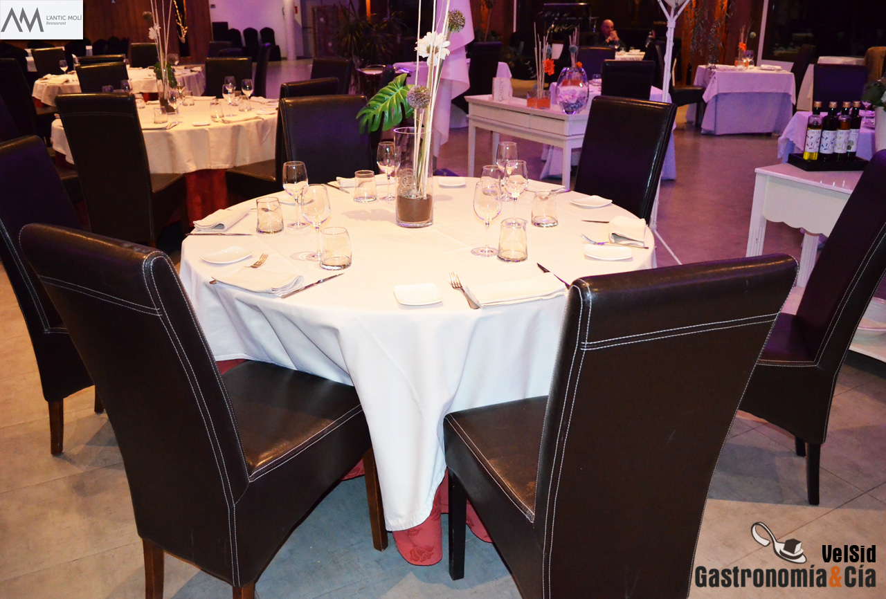 'El aceite y nuestra tierra' . Menú degustación