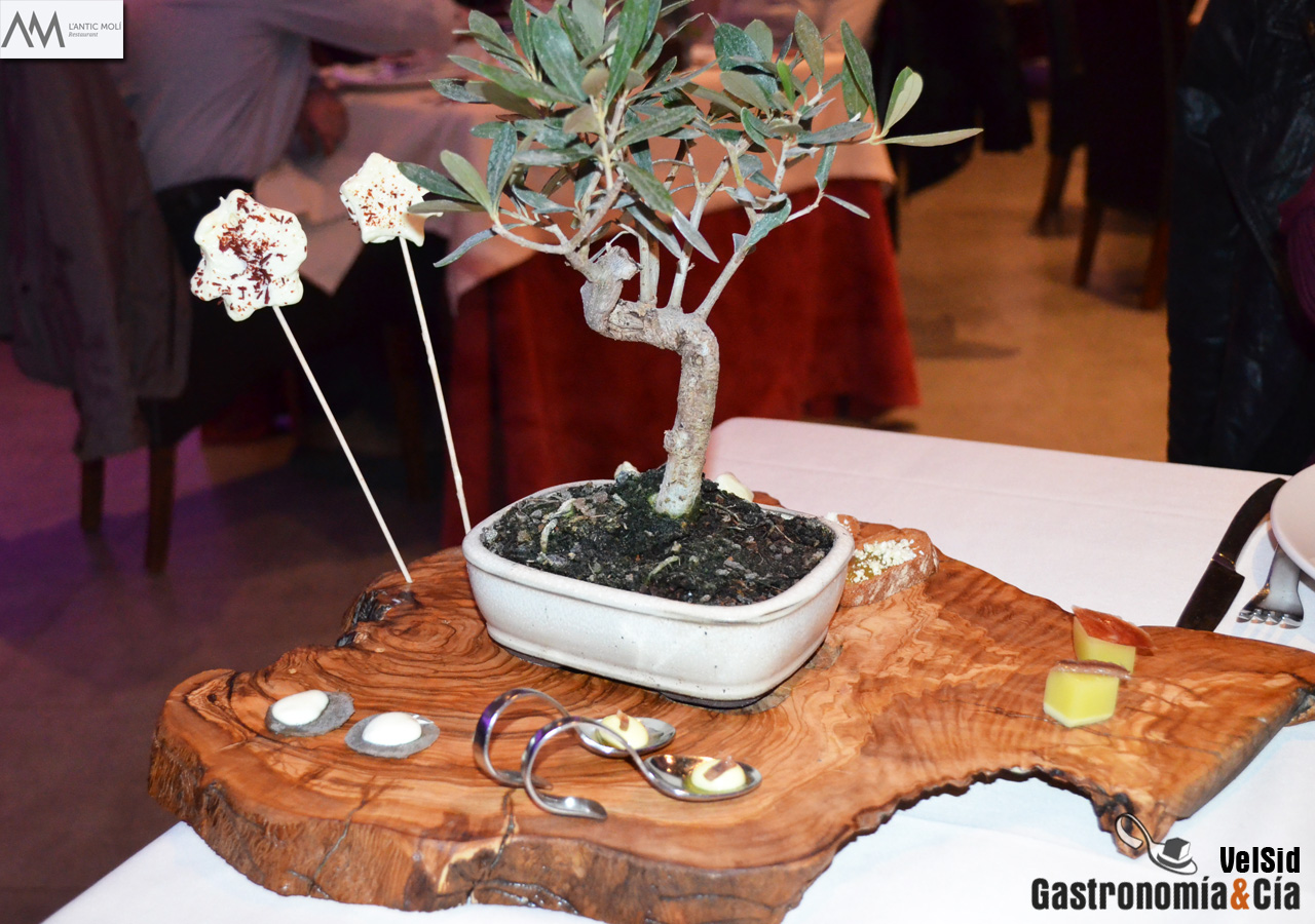 'El aceite y nuestra tierra' . Menú degustación