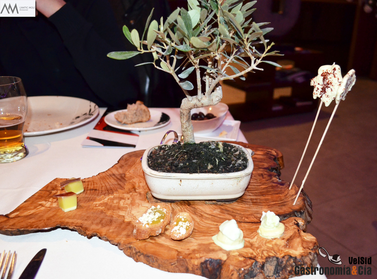 'El aceite y nuestra tierra' . Menú degustación