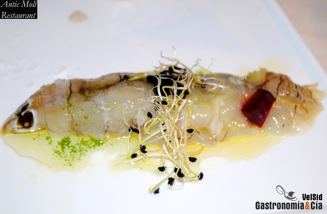 Restaurante L Antic Molí