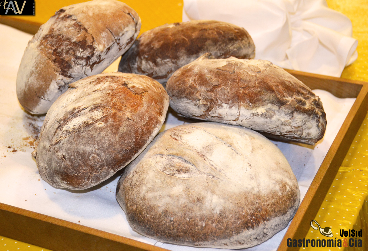 Árbore da Veira de Luis Veira