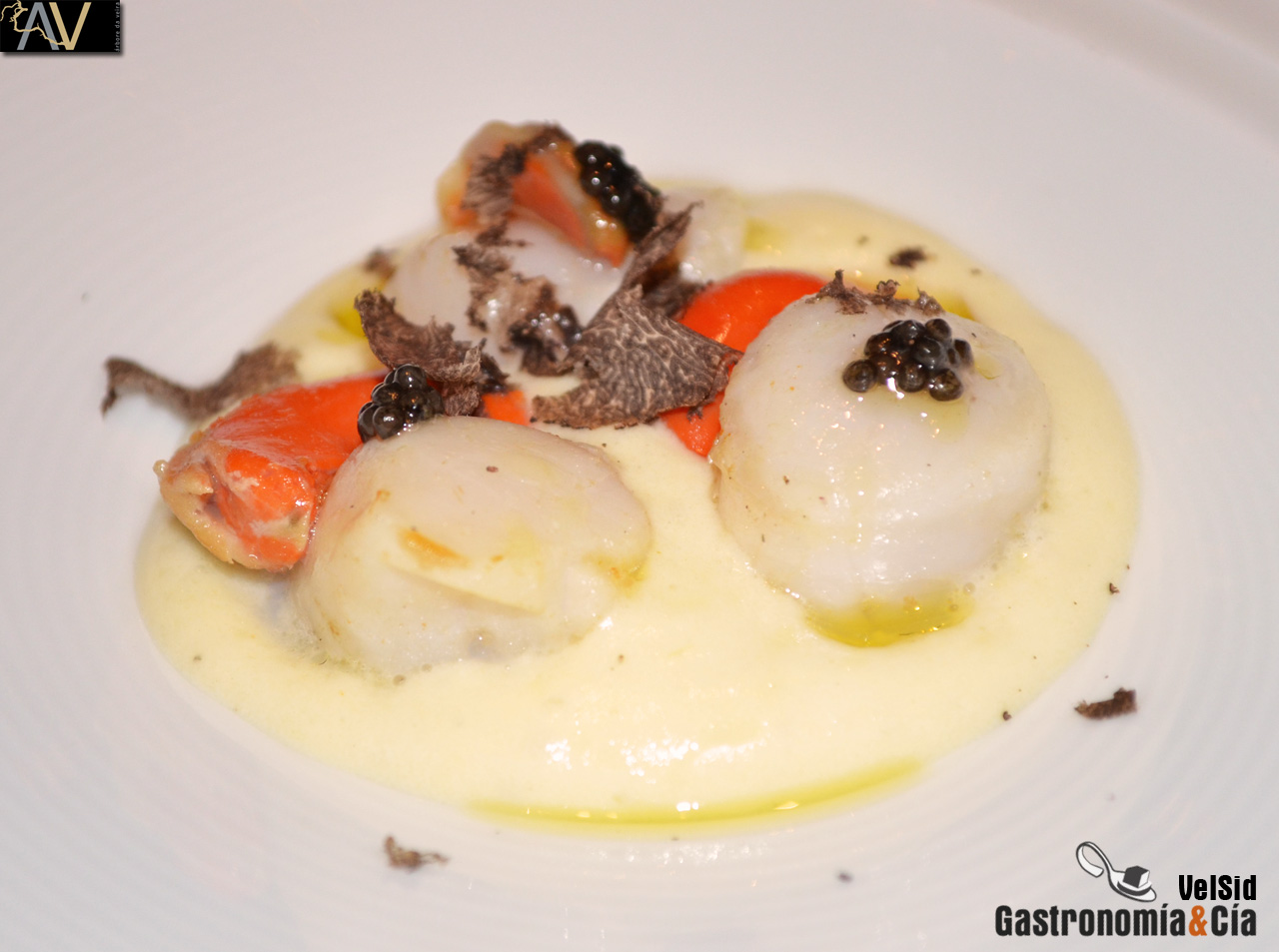 Árbore da Veira de Luis Veira