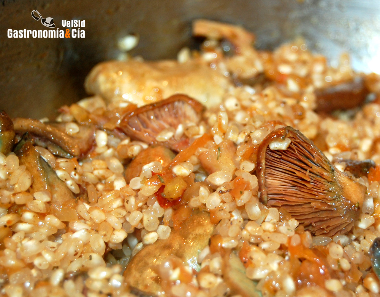 Arroz con conejo y níscalos