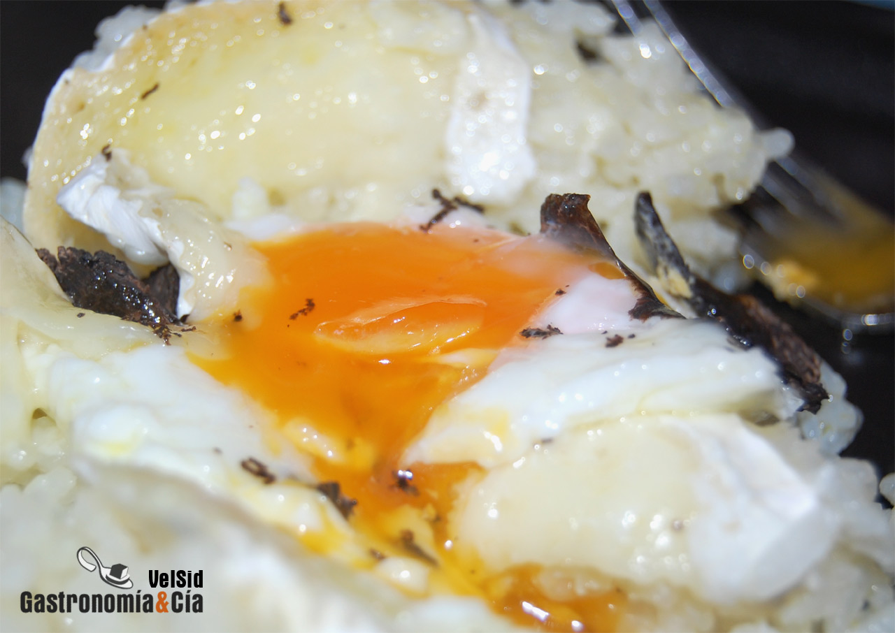 Arroz con huevo trufado y queso brie
