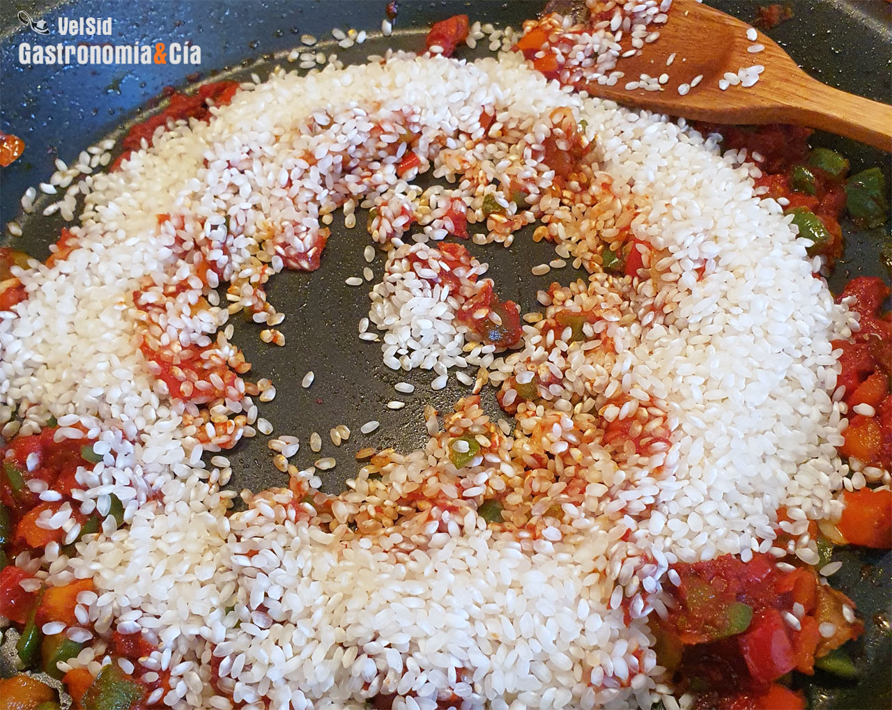 Arroz en paella con pulpo y galeras