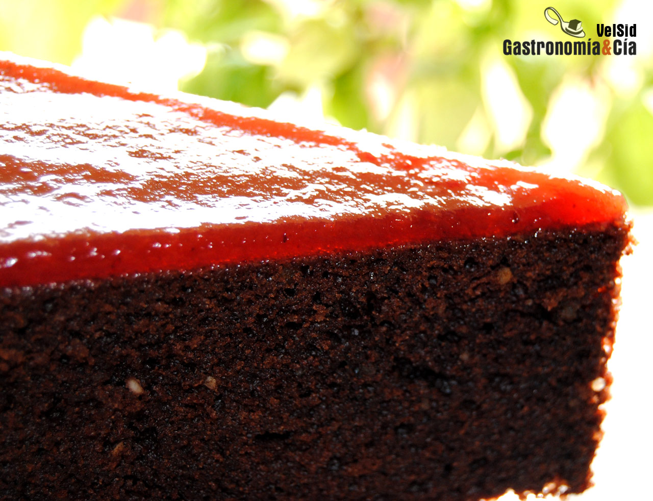 Bizcocho de chocolate con arándanos rojos