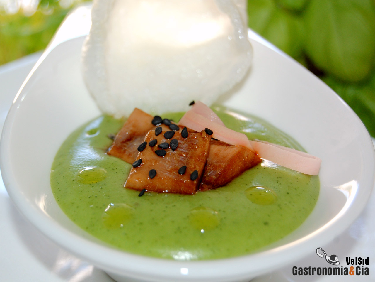 Crema de calabacín y wasabi con atún y gari