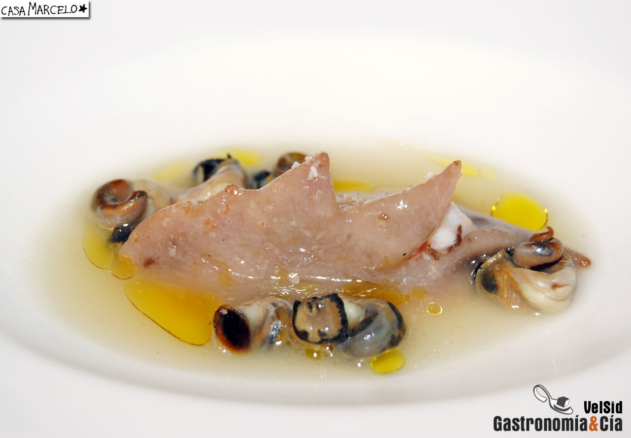 Casa Marcelo (Santiago de Compostela)