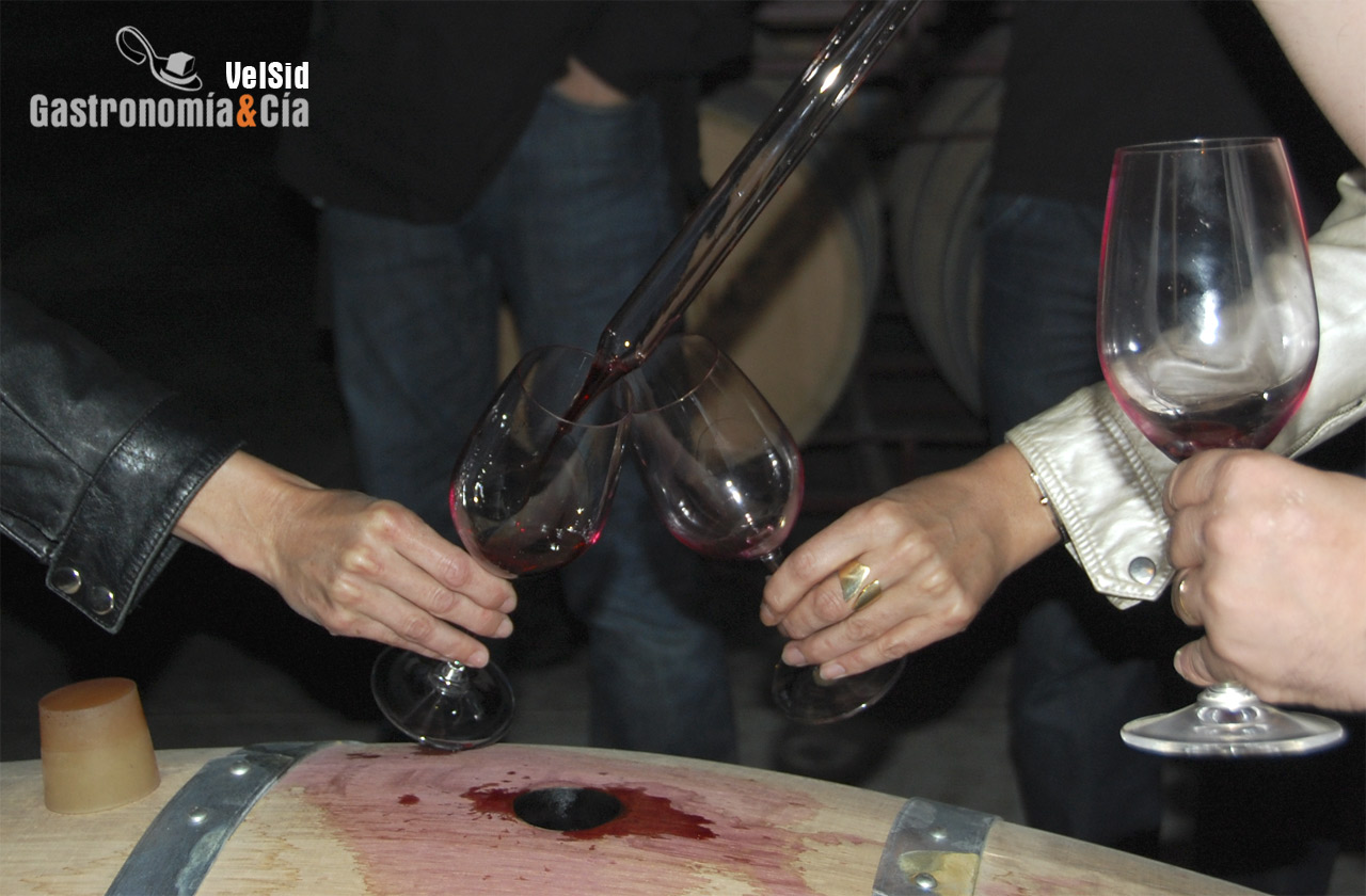 Cata de vino en rama