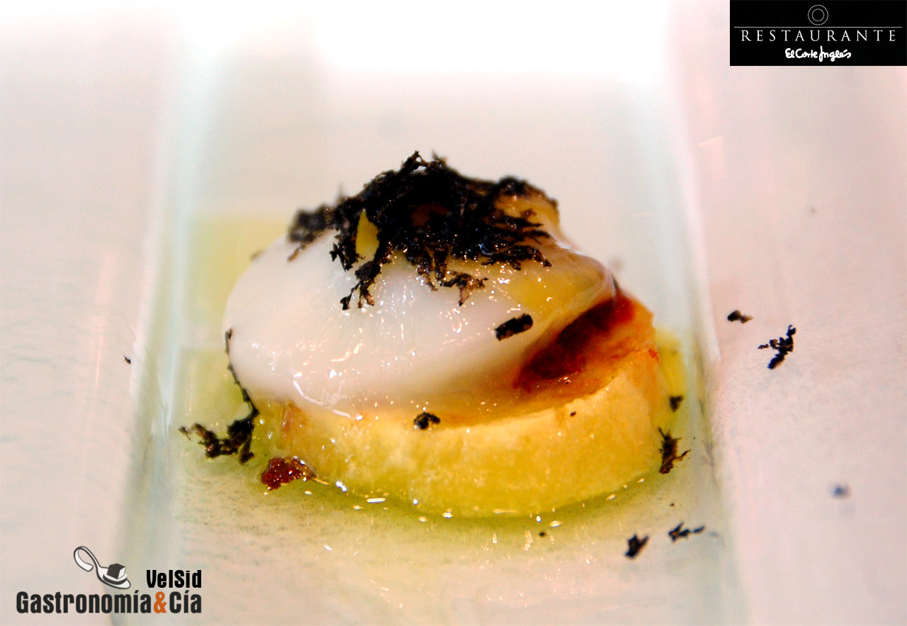 Encuentro con la Trufa Negra