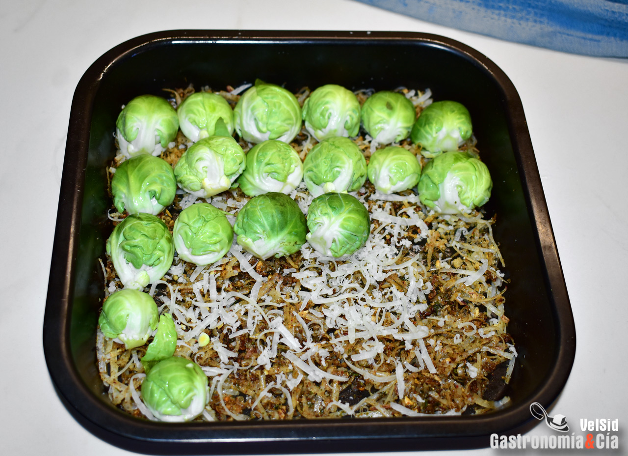 Coles de Bruselas crujientes con parmesano