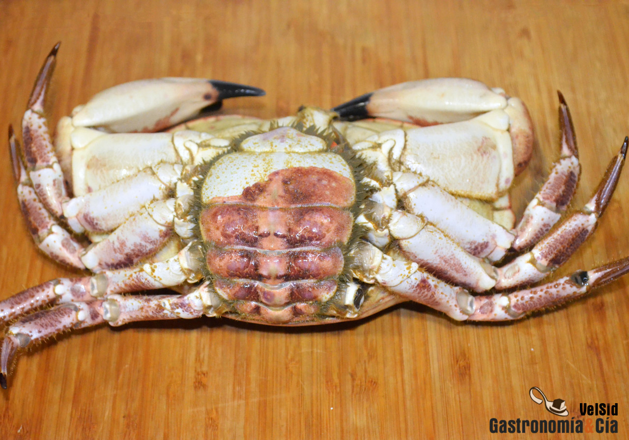 Cómo cocer un buey de mar