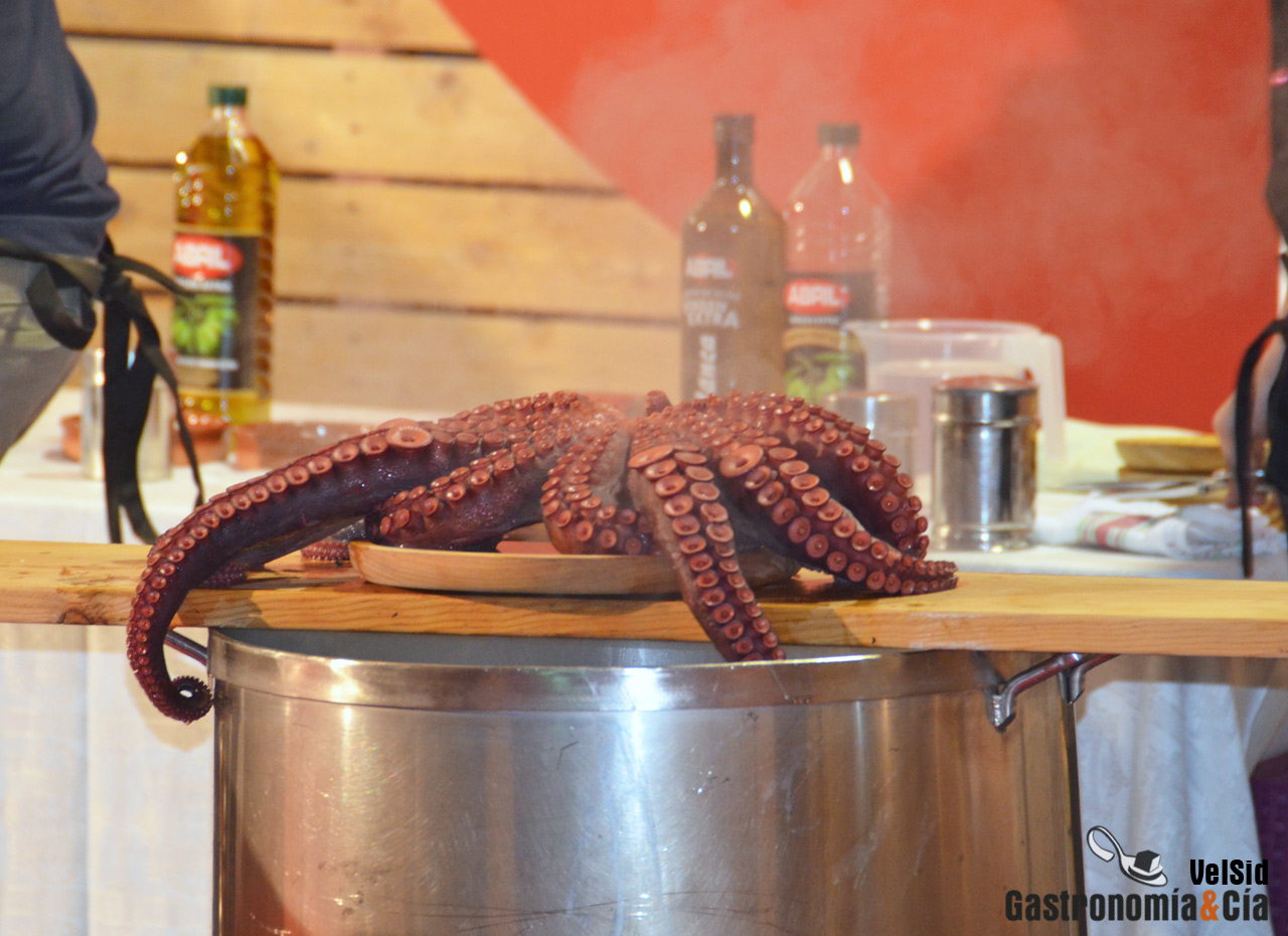 Concurso de Pulpeiras/os del Fórum Coruña