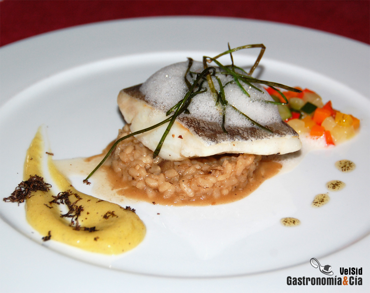 Concurso Trufa Negra dels Ports-Maestrat