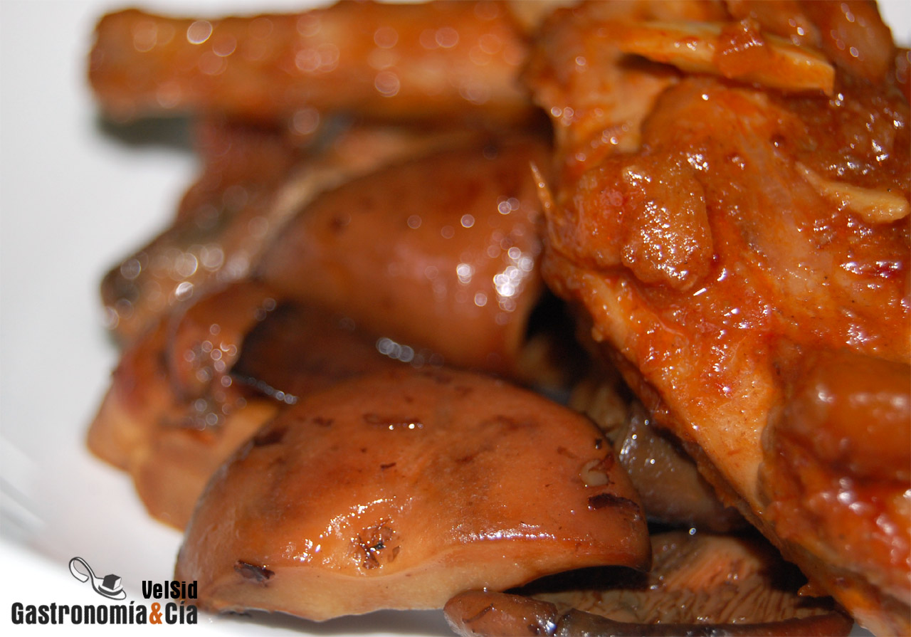 Conejo guisado con níscalos