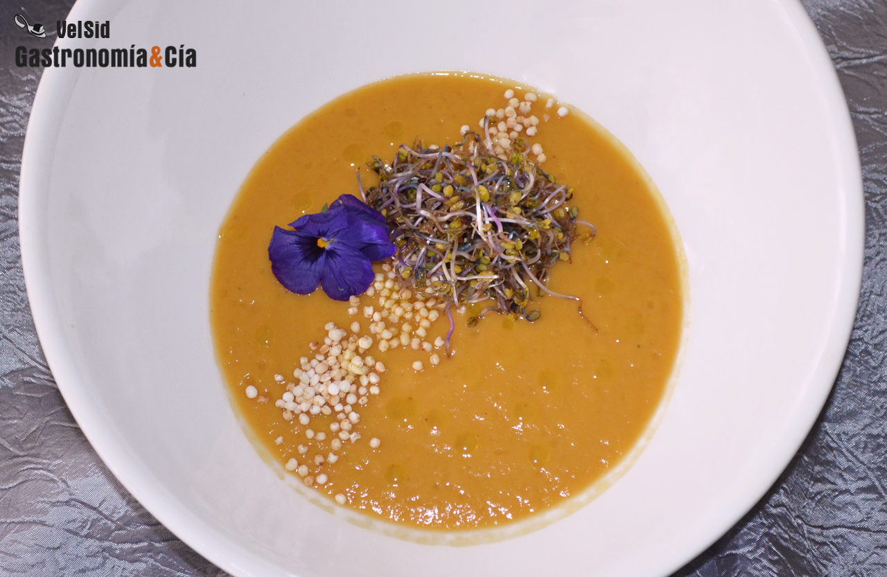Crema de puerro y boniato con quinoa y germinados