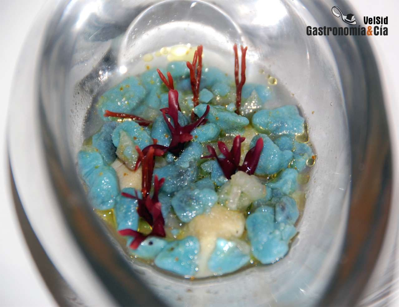 Dani García, Alta Acuicultura