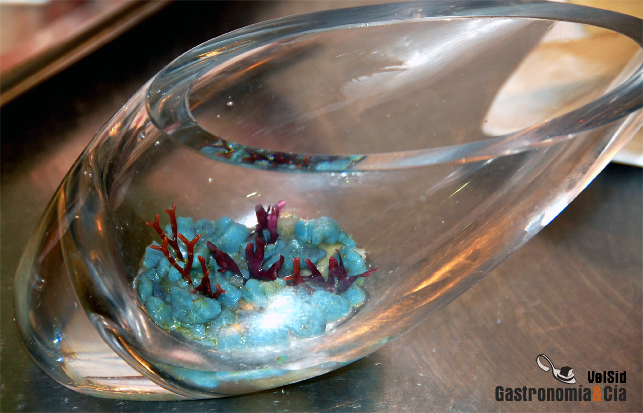 Dani García, Alta Acuicultura