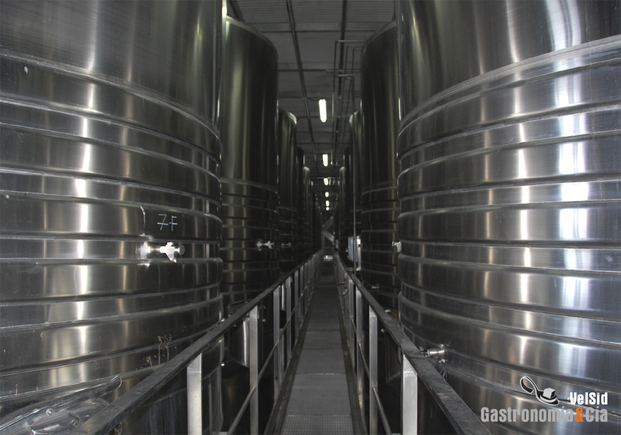 Nivel intermedio depósitos de acero de vino