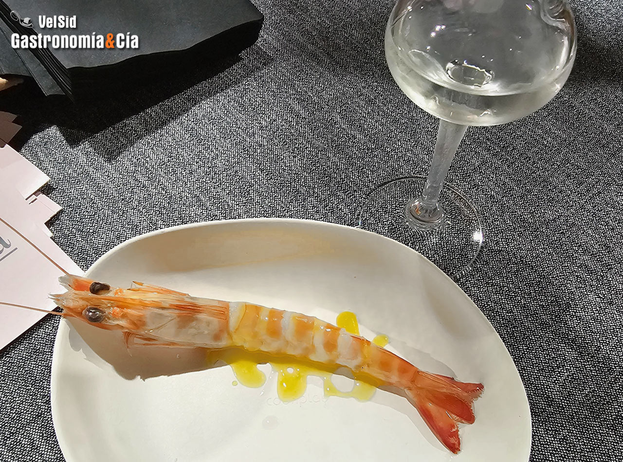 Destilado de langostino de Vinaròs