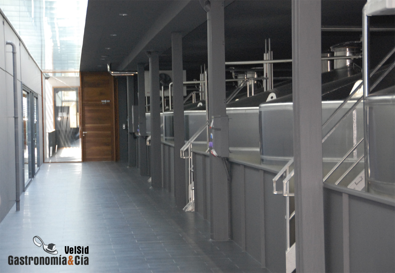 Pasillo Bodegas Laus