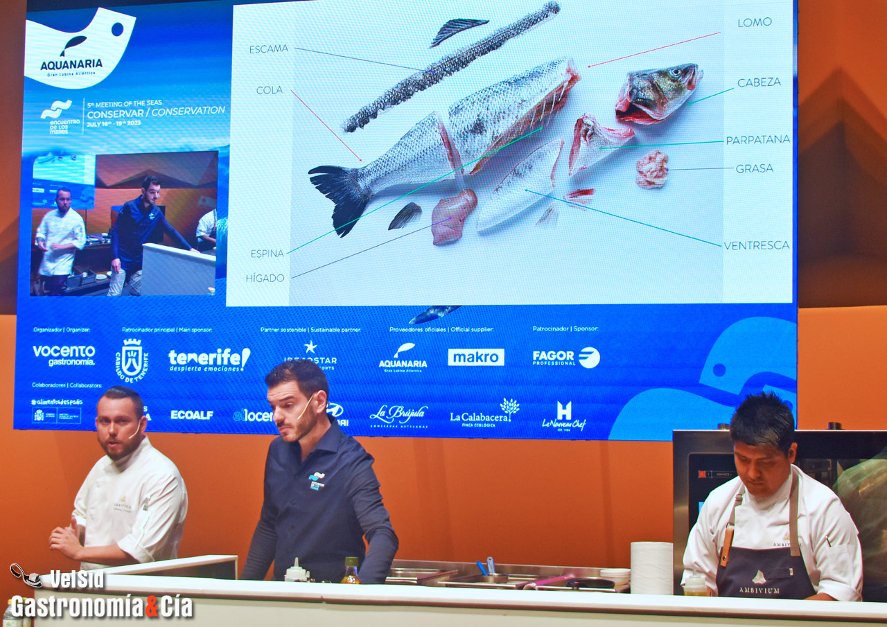 Cristóbal Muñoz (Ambivium, Peñafiel)