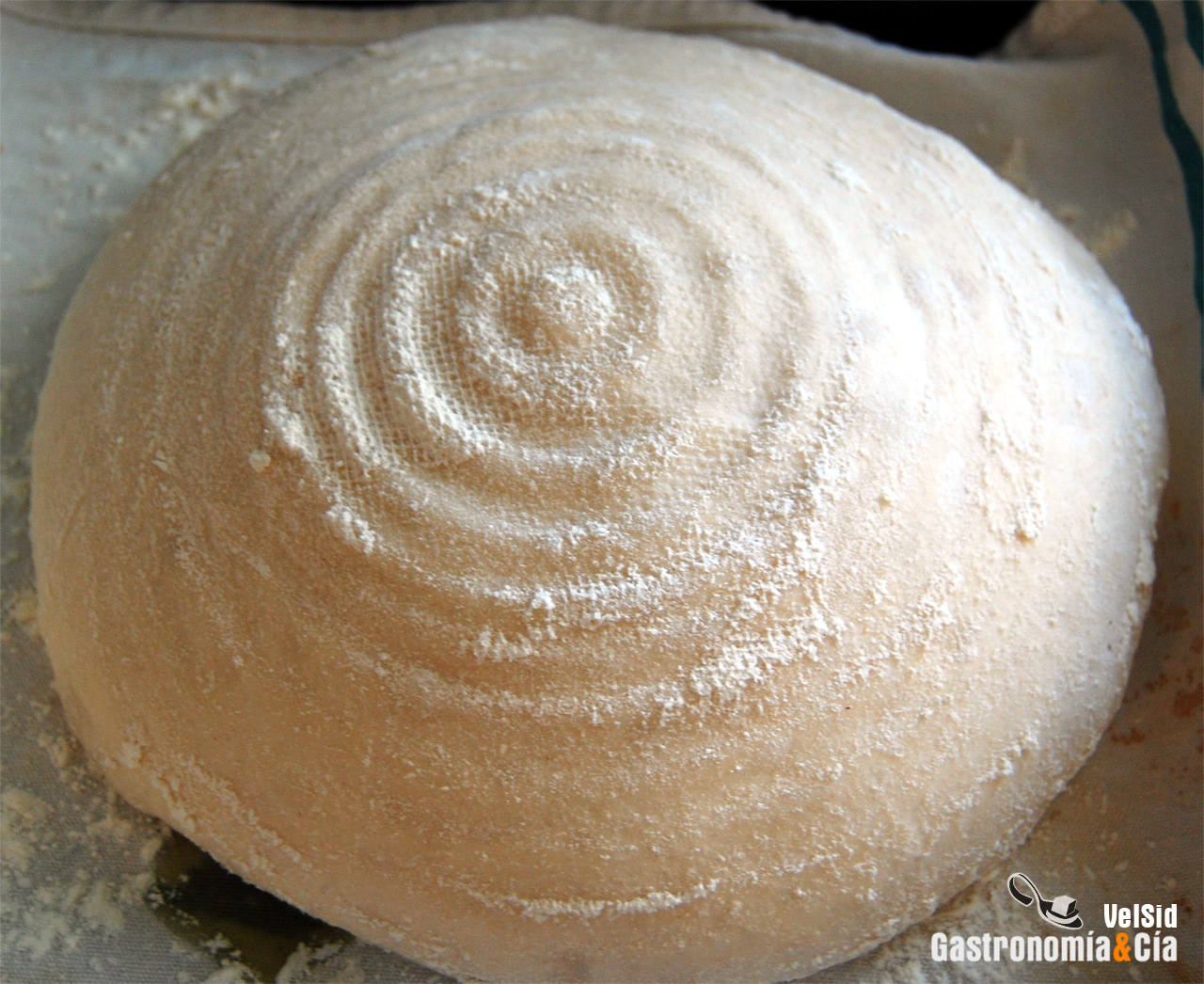 Pan en cesta de fermentación