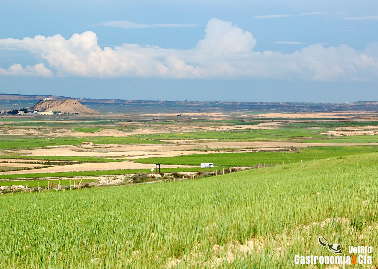 Parque Natural de las Bardenas Reales