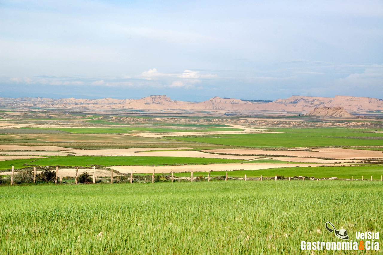 Parque Natural de las Bardenas Reales