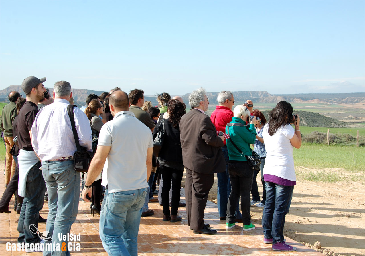 Parque Natural de las Bardenas Reales
