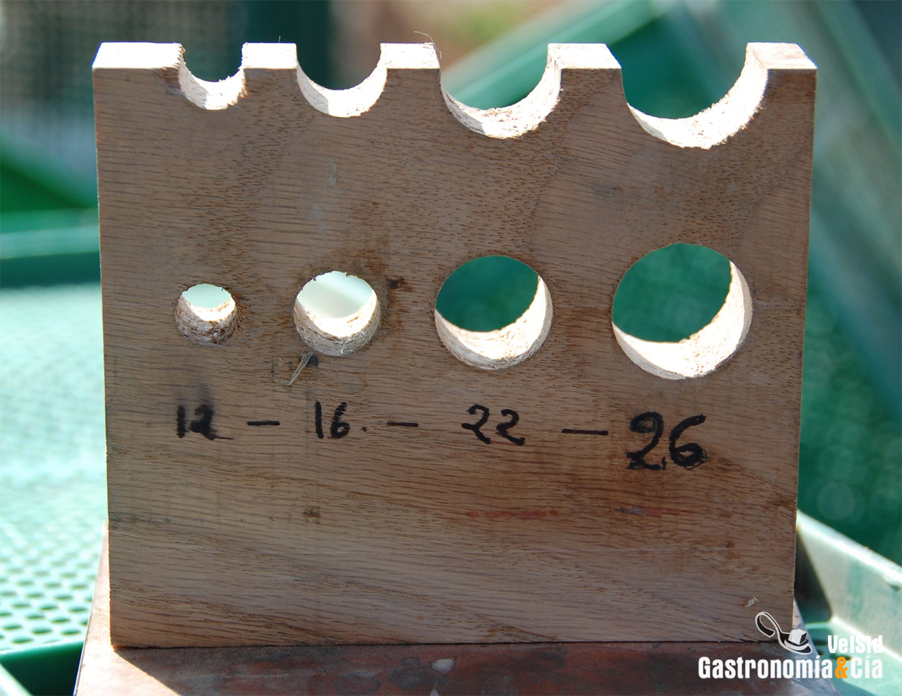 Espárrago de Navarra y Alcachofa de Tudela