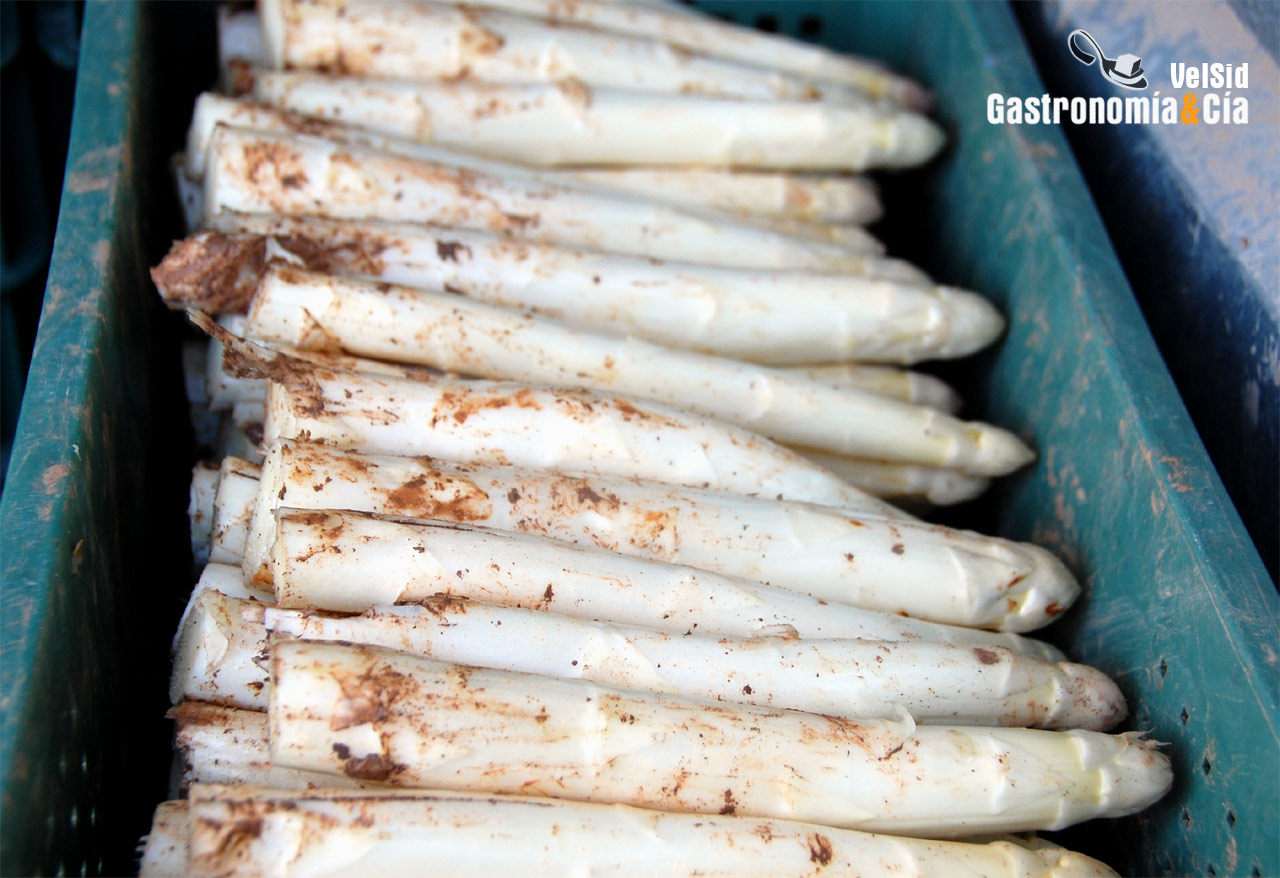 Espárrago de Navarra y Alcachofa de Tudela