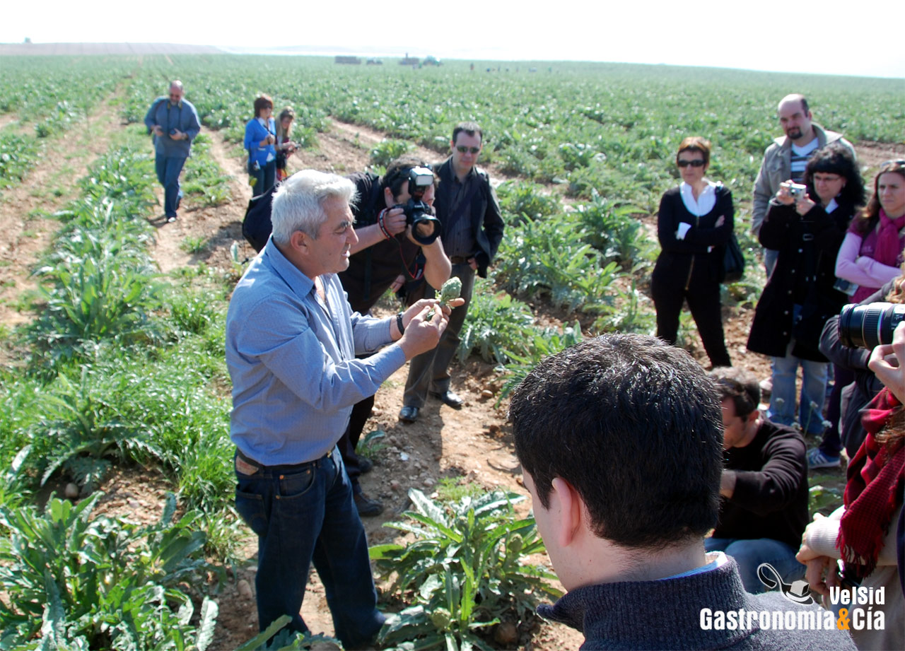 Espárrago de Navarra y Alcachofa de Tudela