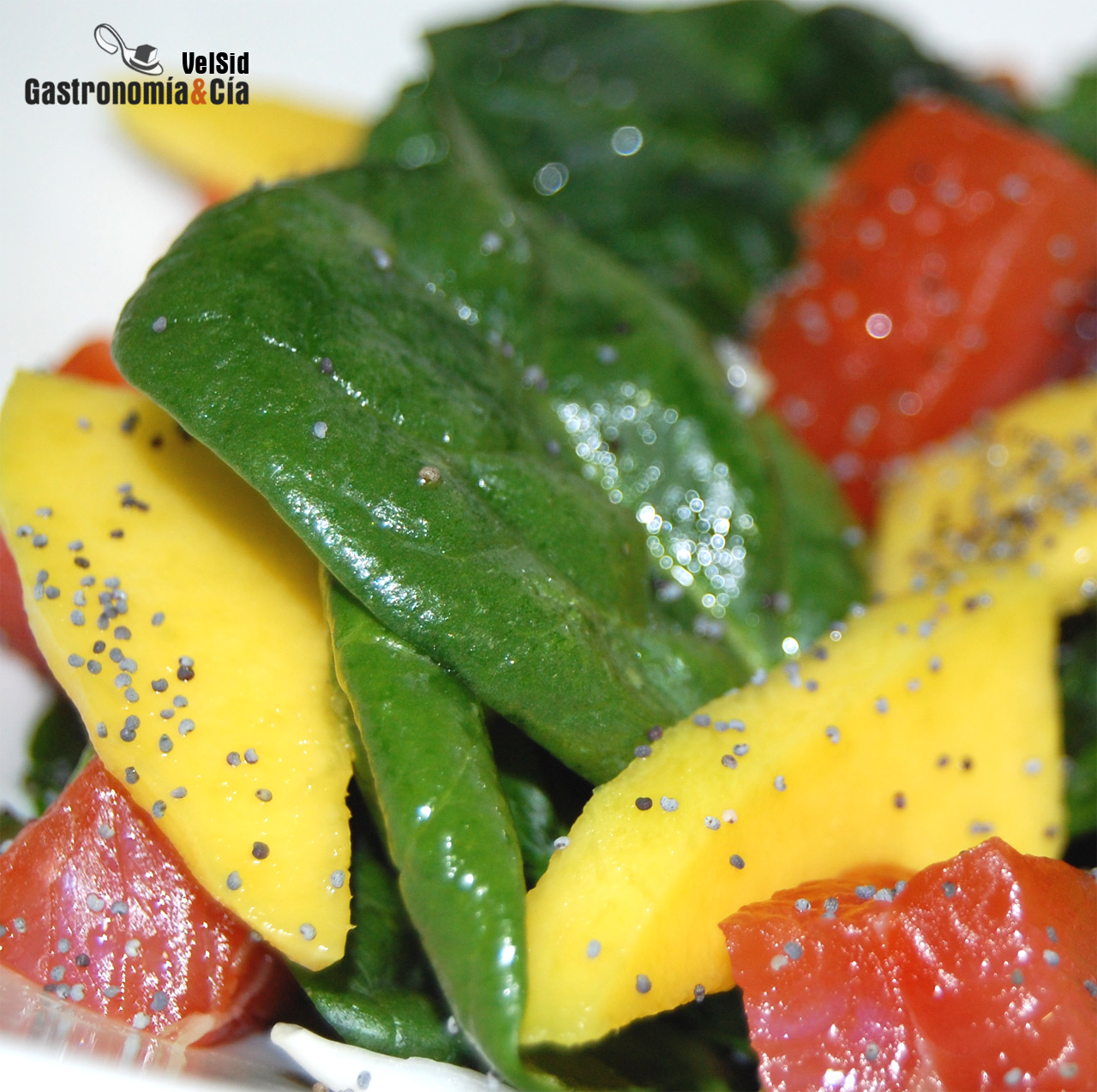 Ensalada de espinacas con salmón marinado y mango