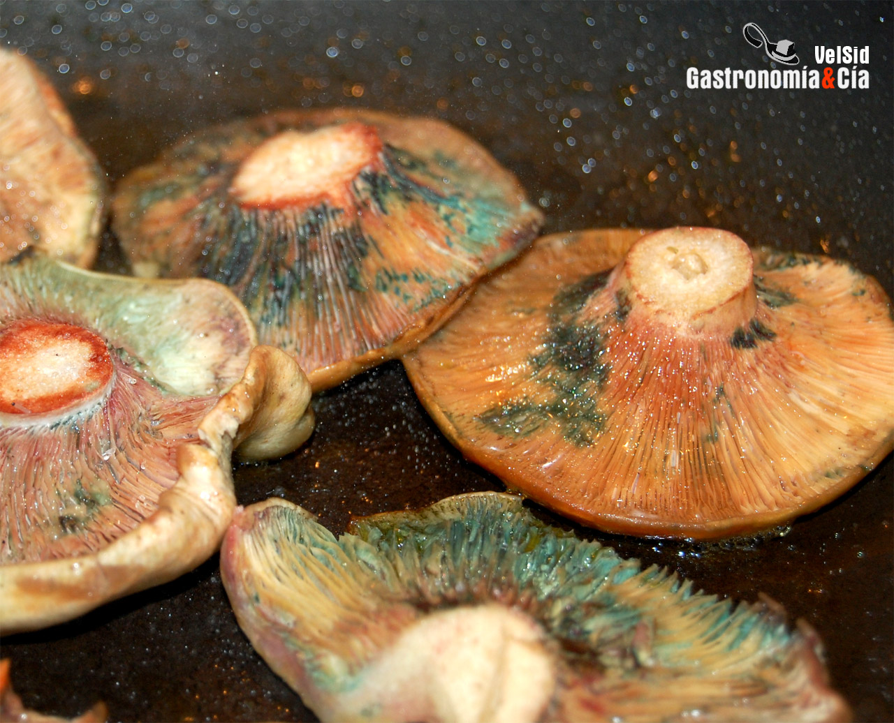 Entrecot al romero con níscalos