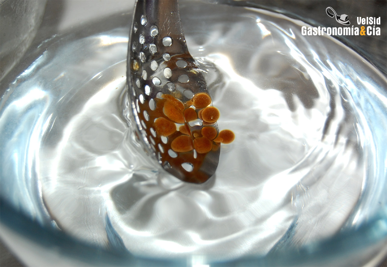 Salmón marinado con caviar de soja