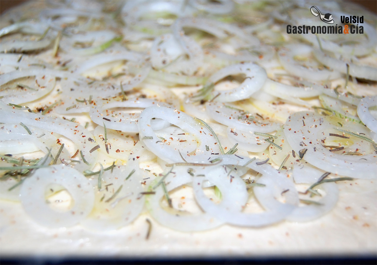 Focaccia de cebolla y Grana Padano