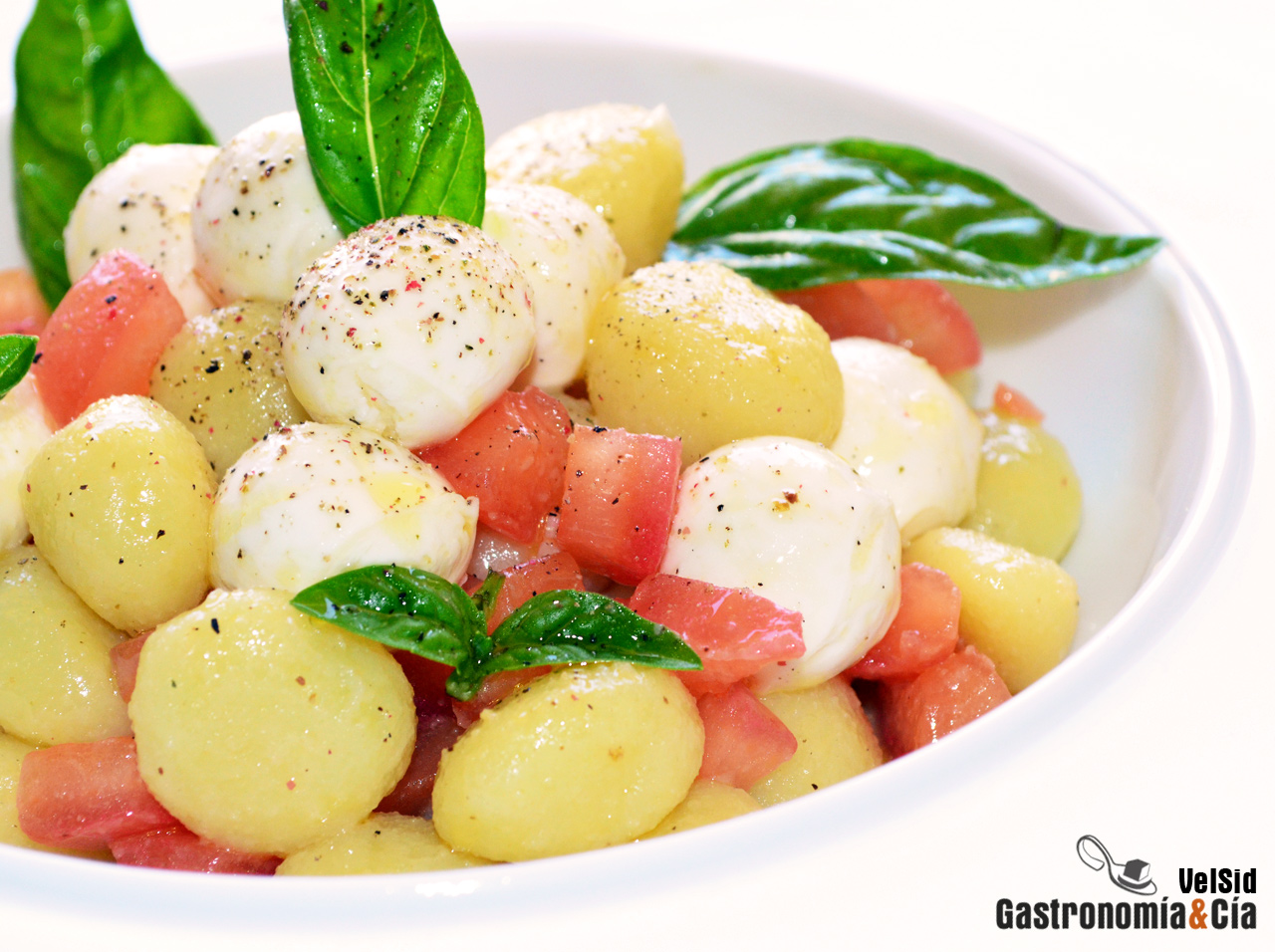 Ñoquis con tomate concasse y mozzarella marinada