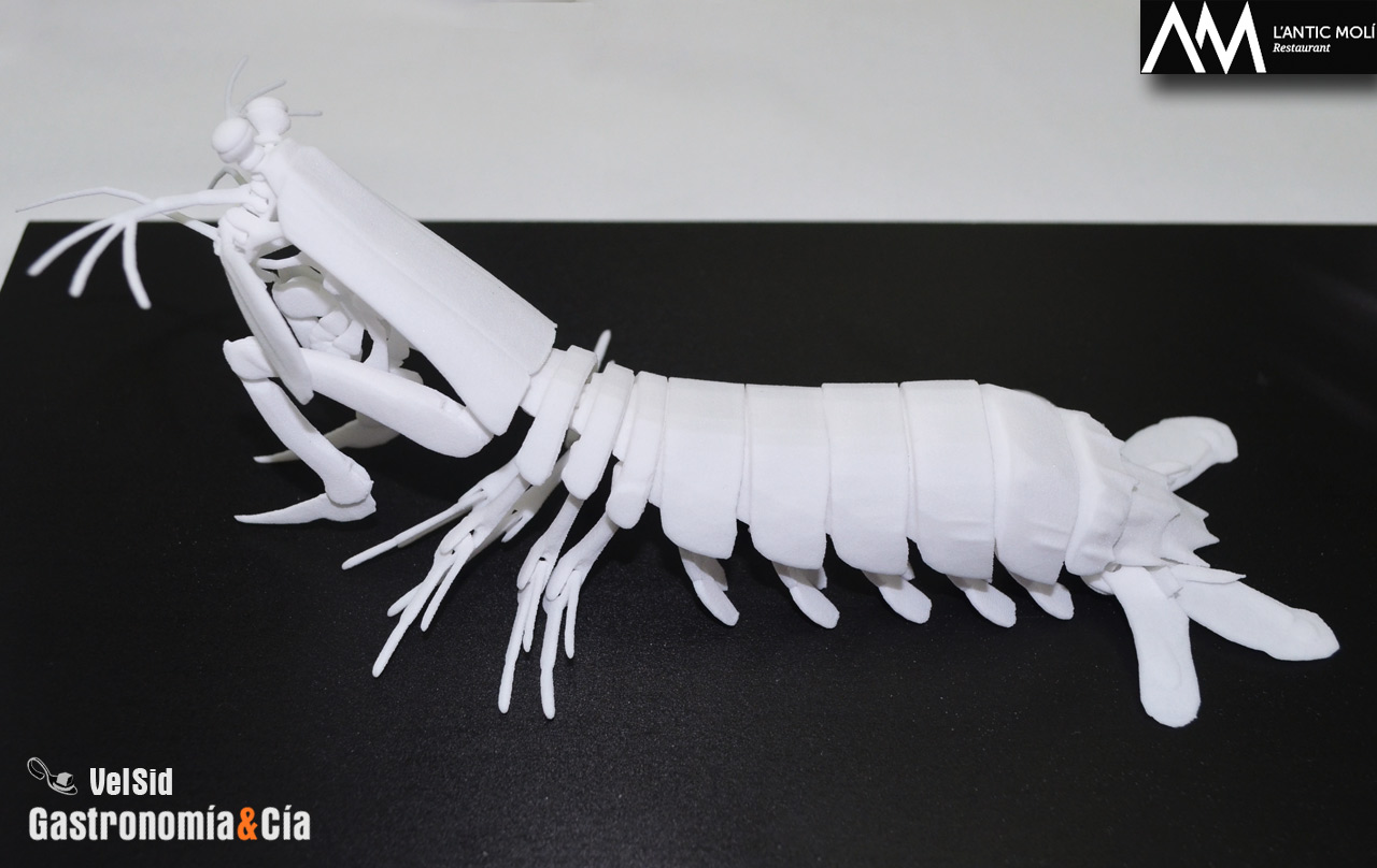 'Diseccionamos la galera' 2018