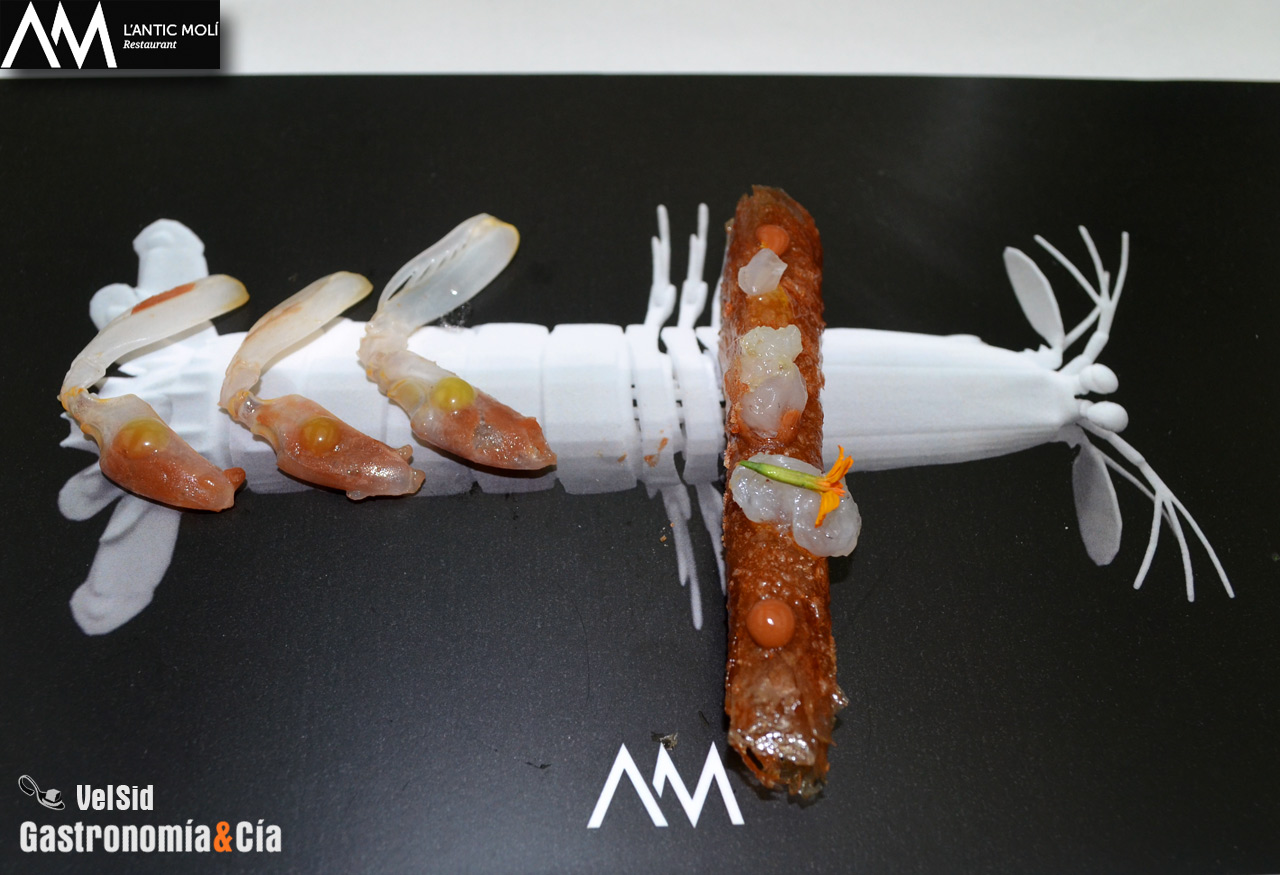 'Diseccionamos la galera' 2018