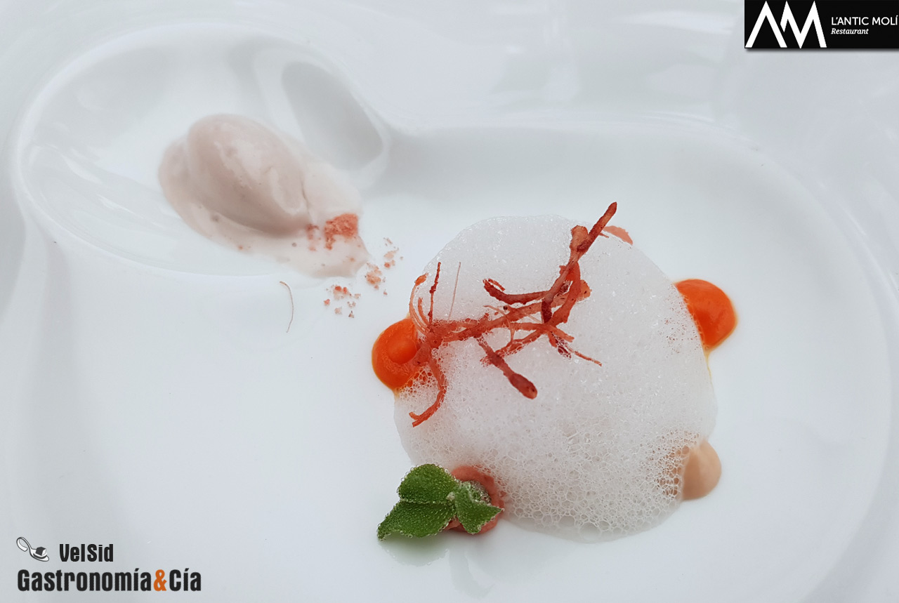 'Diseccionamos la galera' 2018