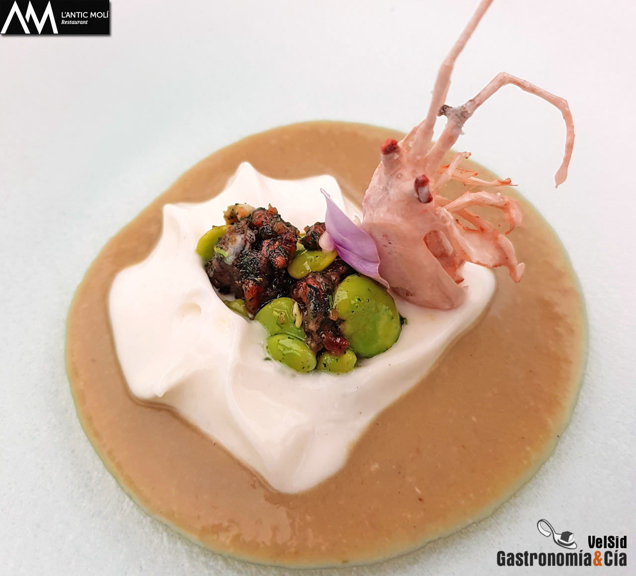 'Diseccionamos la galera' 2018