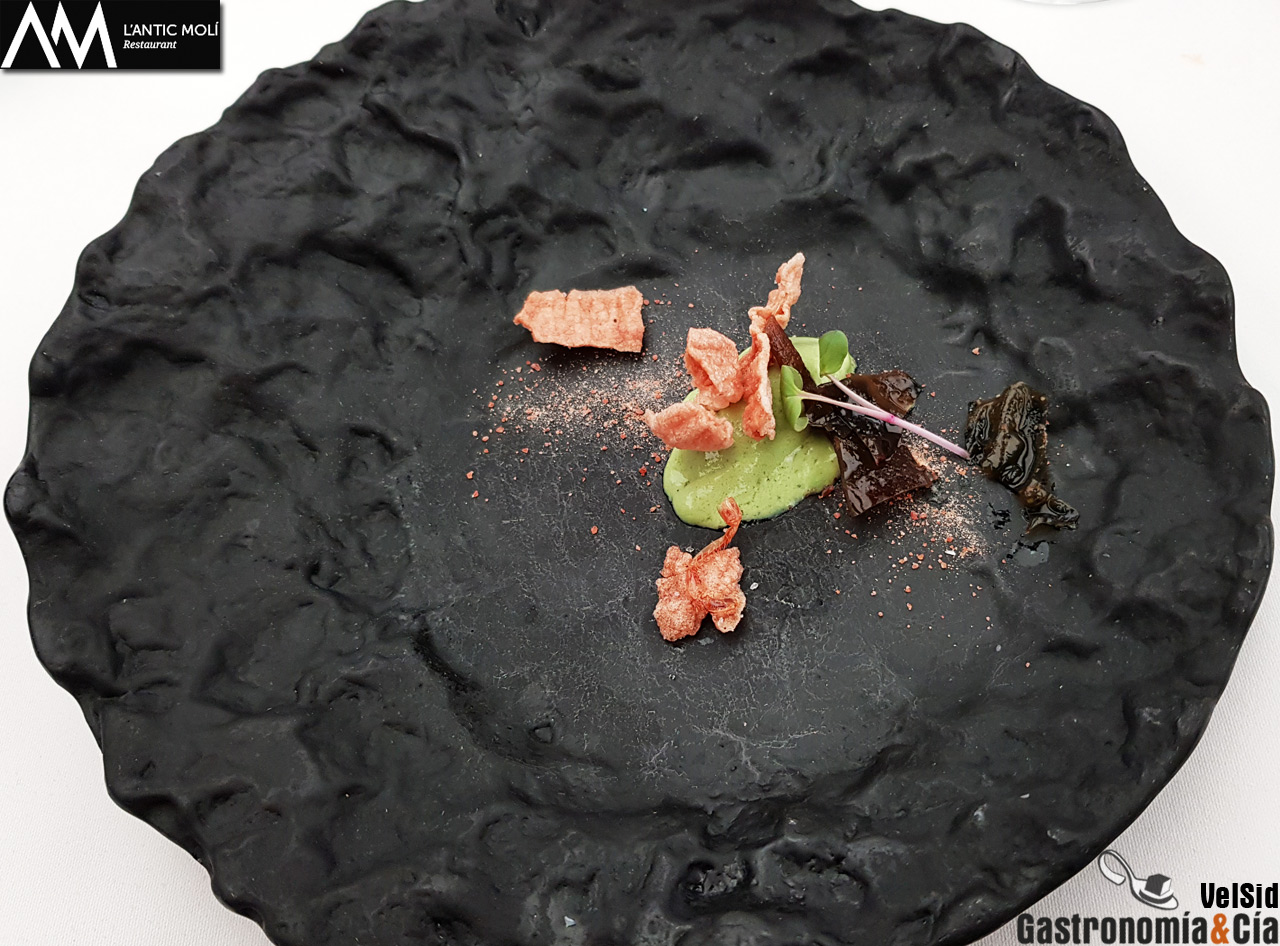 'Diseccionamos la galera' 2018