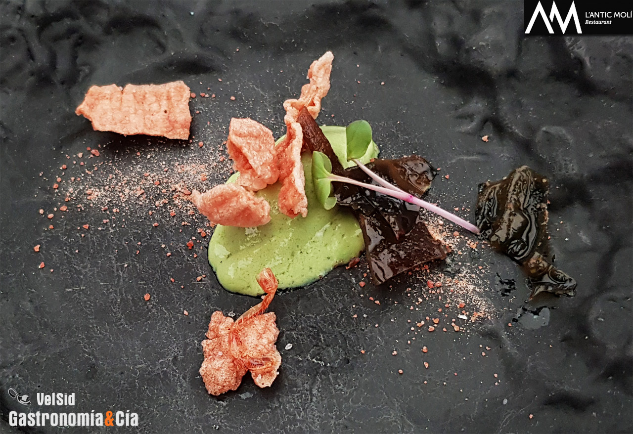 'Diseccionamos la galera' 2018