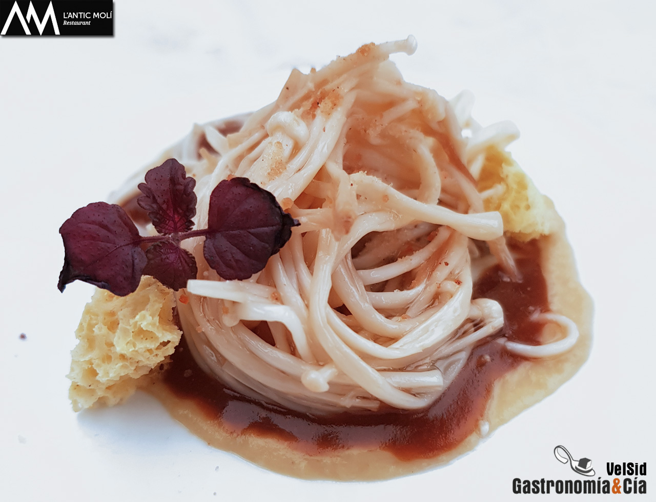 ‘Diseccionamos la galera’ 2018