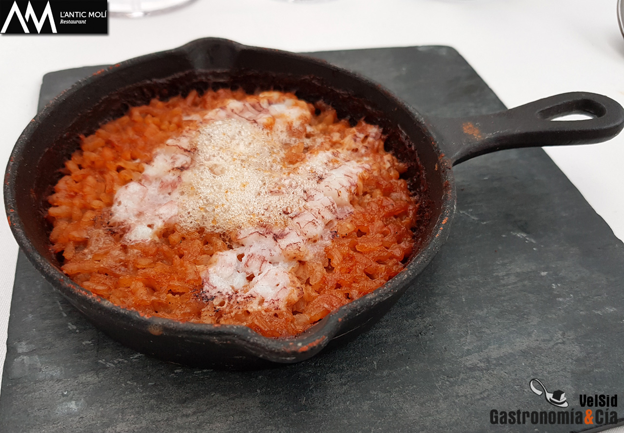 ‘Diseccionamos la galera’ 2018