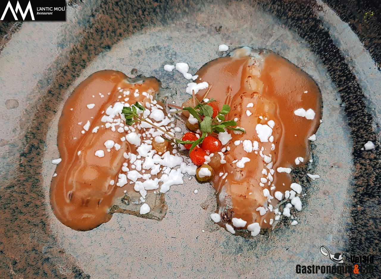 ‘Diseccionamos la galera’ 2018