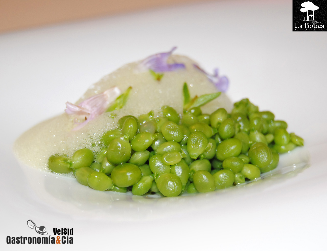 La Botica de Matapozuelos